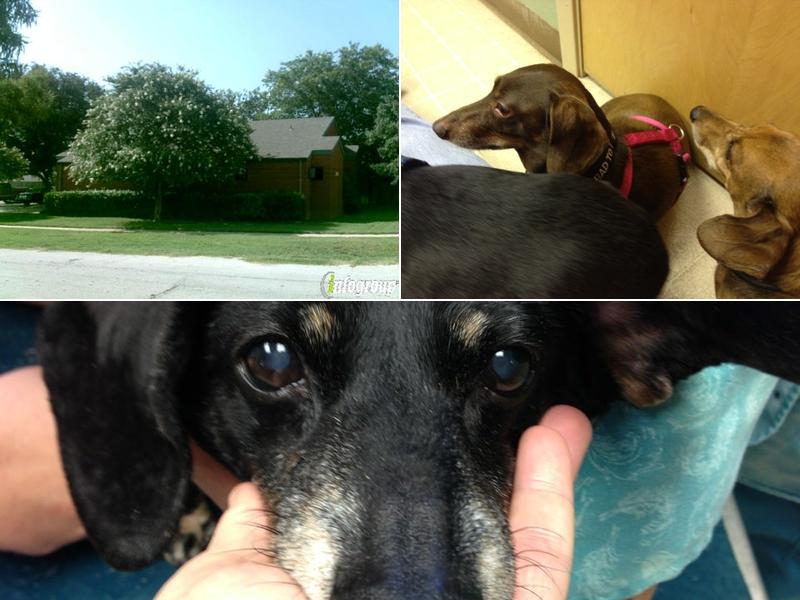 Green Oaks/Arkansas Animal Hospital