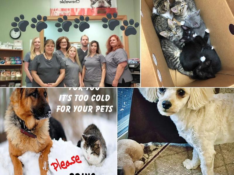 Rodeo Drive Veterinary Hospital