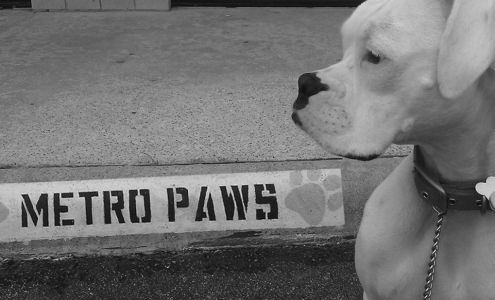 Metro Paws Animal Hospital - Skillman