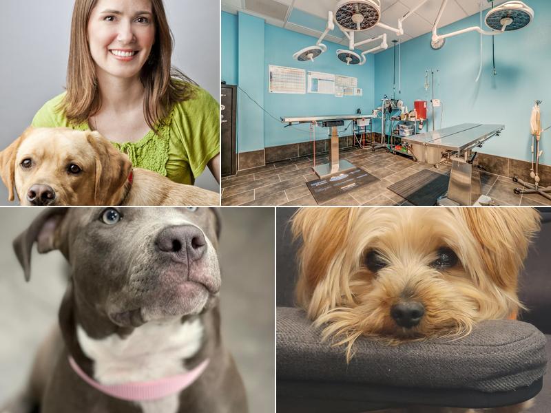 Preston Royal Animal Clinic