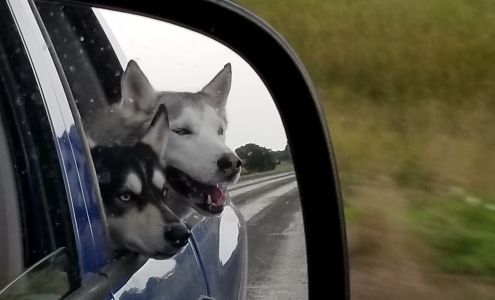 Bluebonnet City Vet Clinic