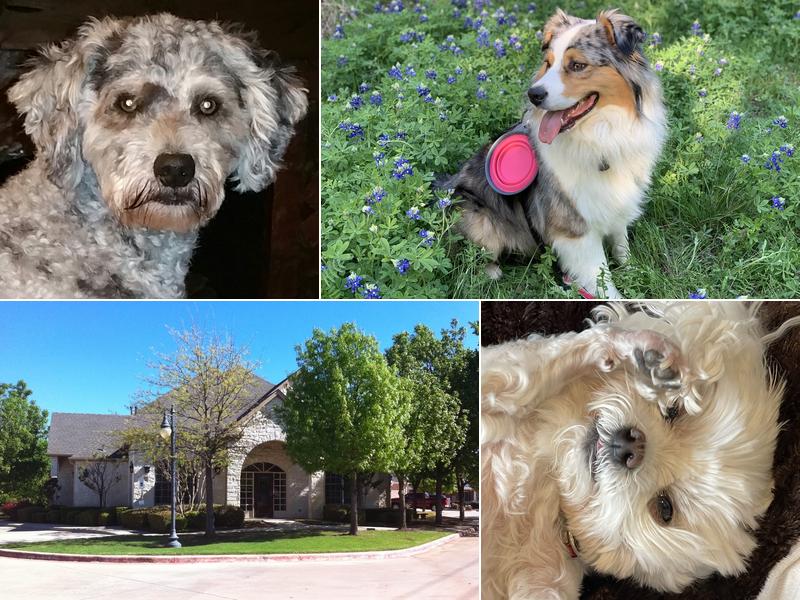 Southlake Crossing Animal Clinic