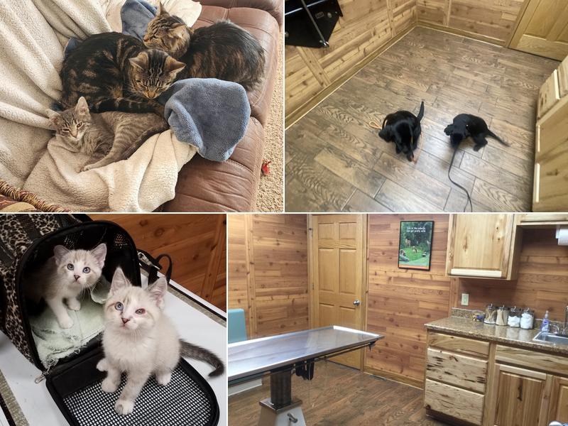 Animal Clinic of Elkhorn