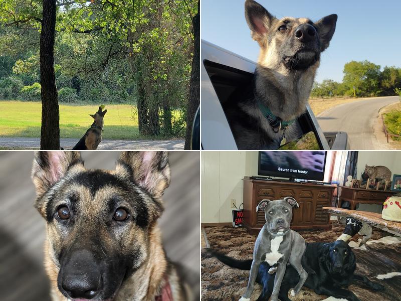 Cleburne Veterinary Hospital