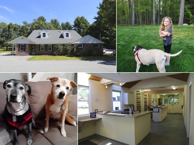 Pepperell Veterinary Hospital