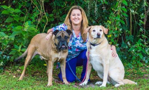 Midway Animal Hospital