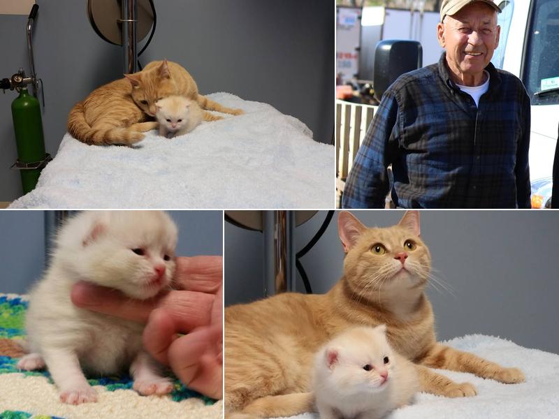 Nygard Veterinary Clinic