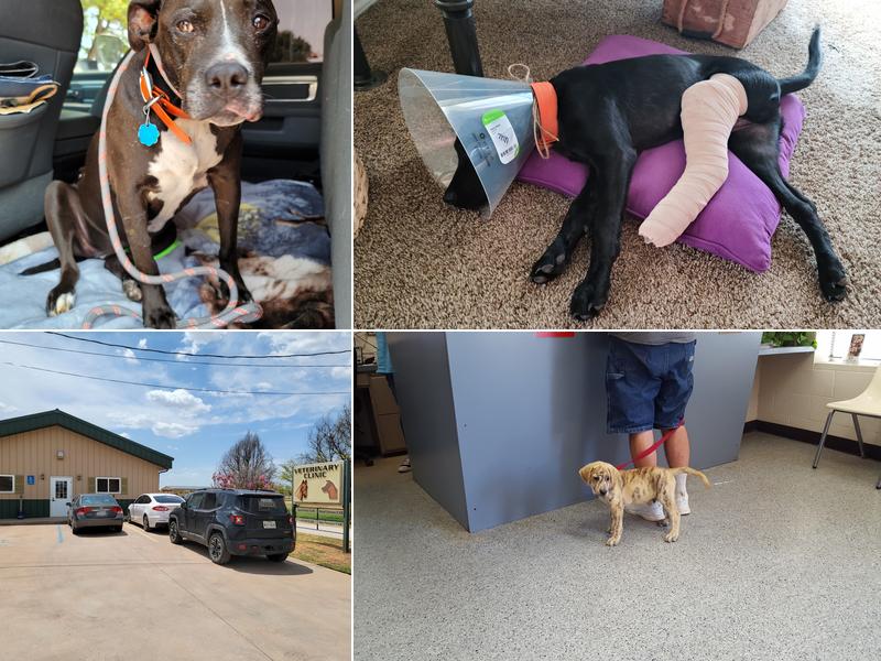 Simmons & Harlan Veterinary Clinic