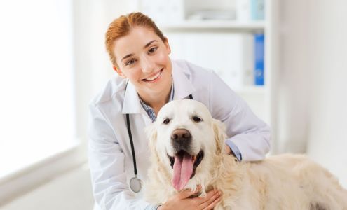 Animal Hospital of Wichita Falls