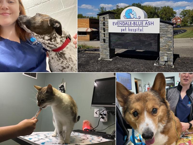 Evendale-Blue Ash Pet Hospital