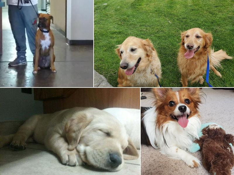 Hermiston Veterinary Clinic