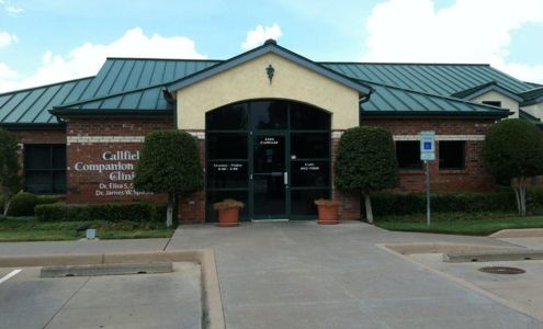 Dr. Elisa Wichita Falls