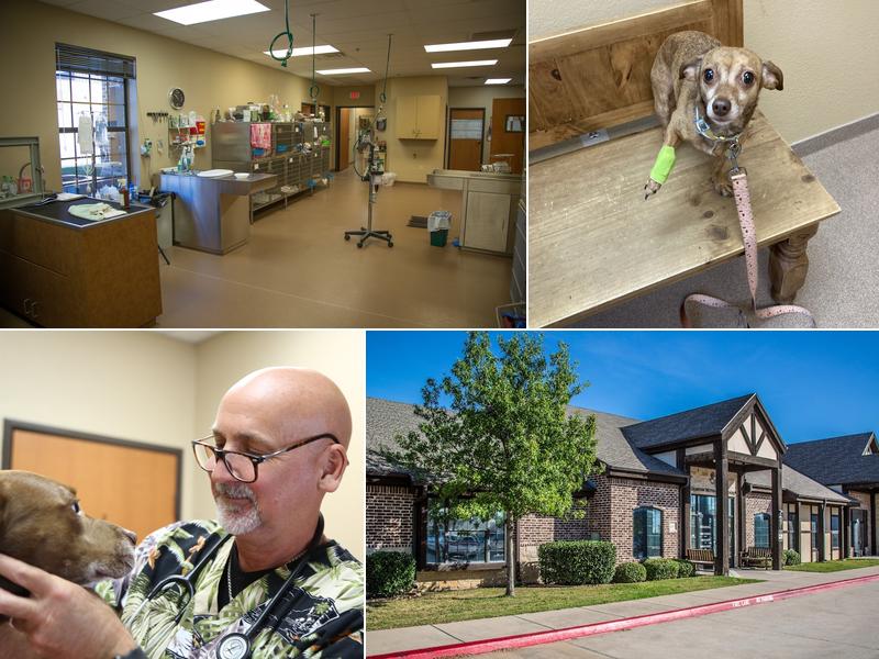 Denton Veterinary Center