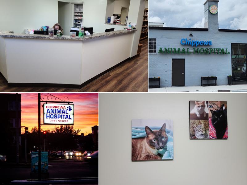 Chippewa Animal Hospital