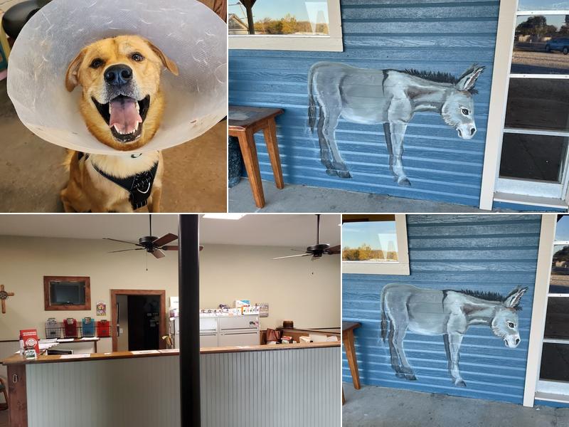 Thompson Veterinary Services