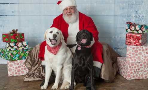 Yorkshire Animal Hospital