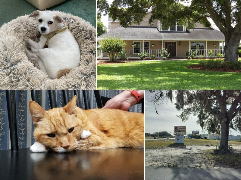 Country Oaks Veterinary Clinic