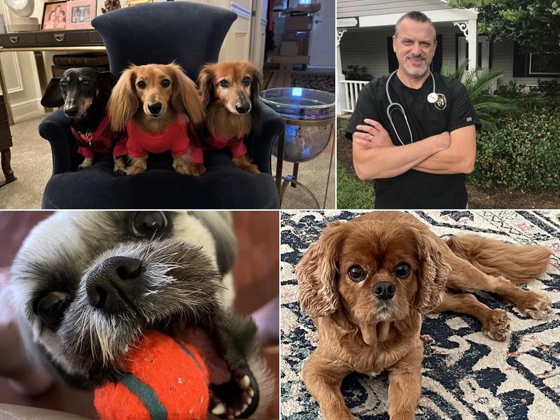 Faithful Companion Veterinary Services