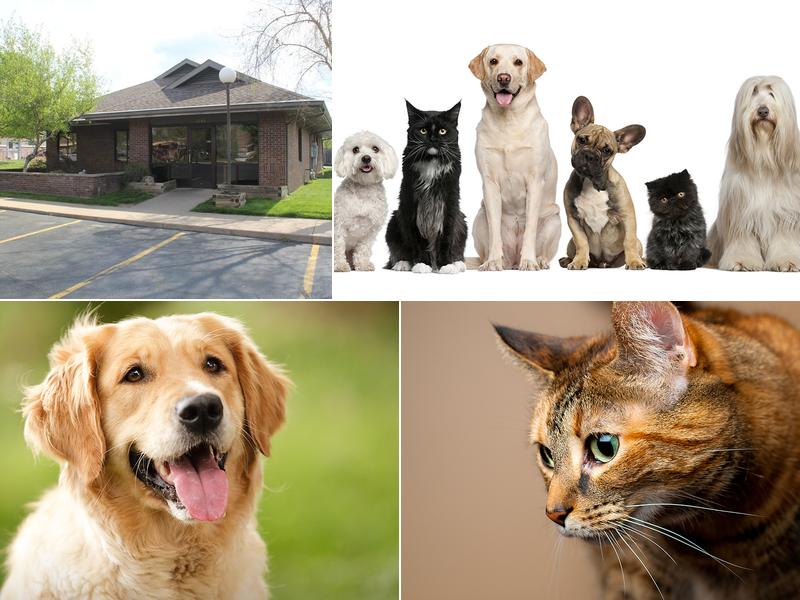 Spring Valley Veterinary Hospital - EAST