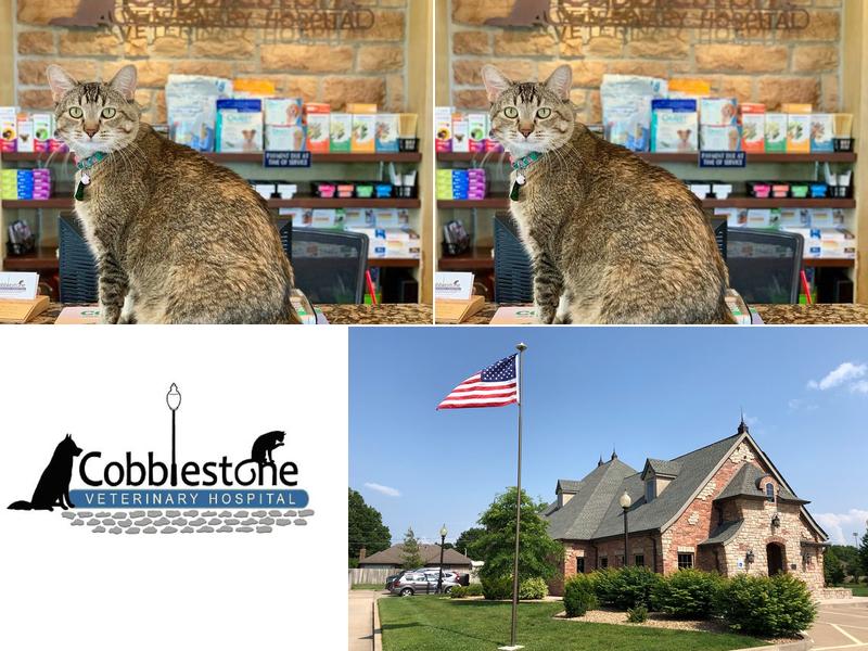 Cobblestone Veterinary Hospital