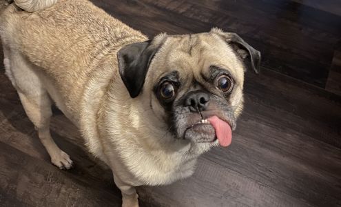 University of Missouri Veterinary Health Center