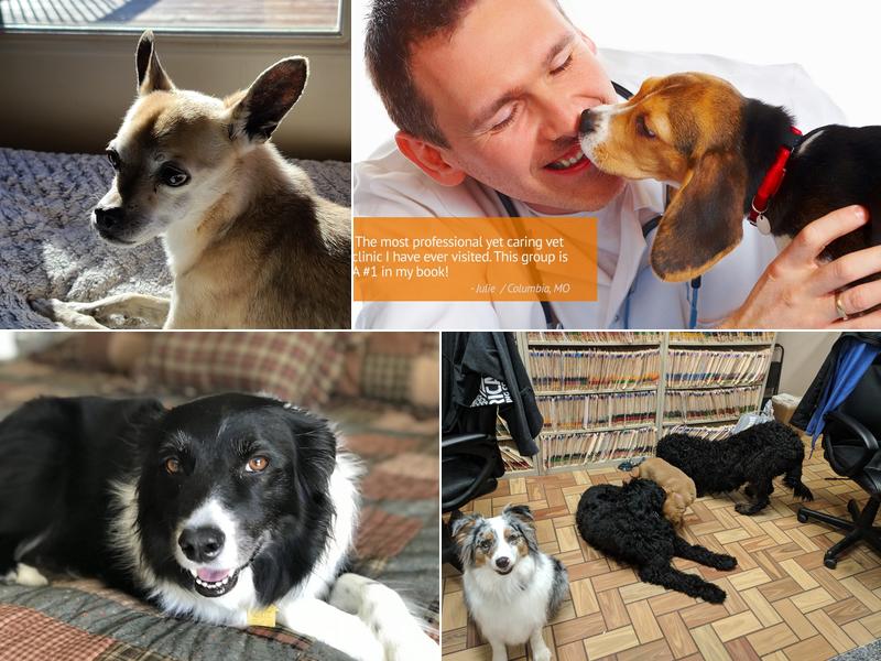 Rolling Hills Veterinary Hospital