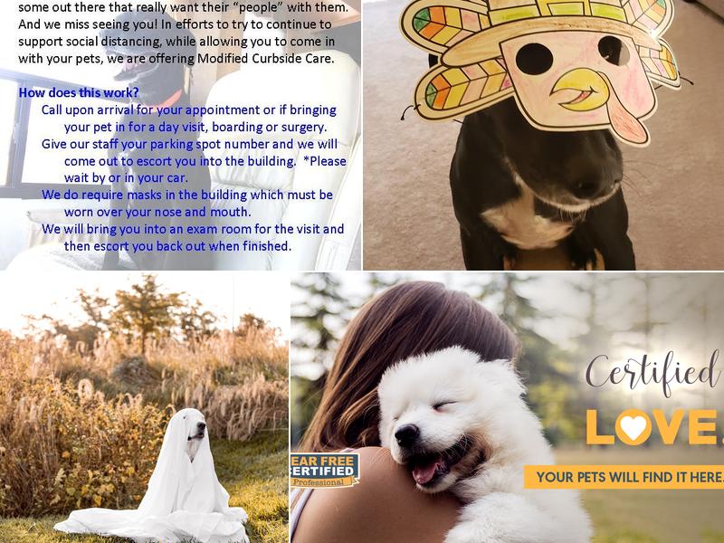 Rock Bridge Animal Hospital: Sappington Susan DVM