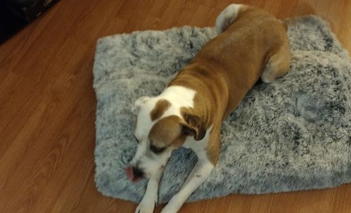 Muhlenberg County Animal Hospital