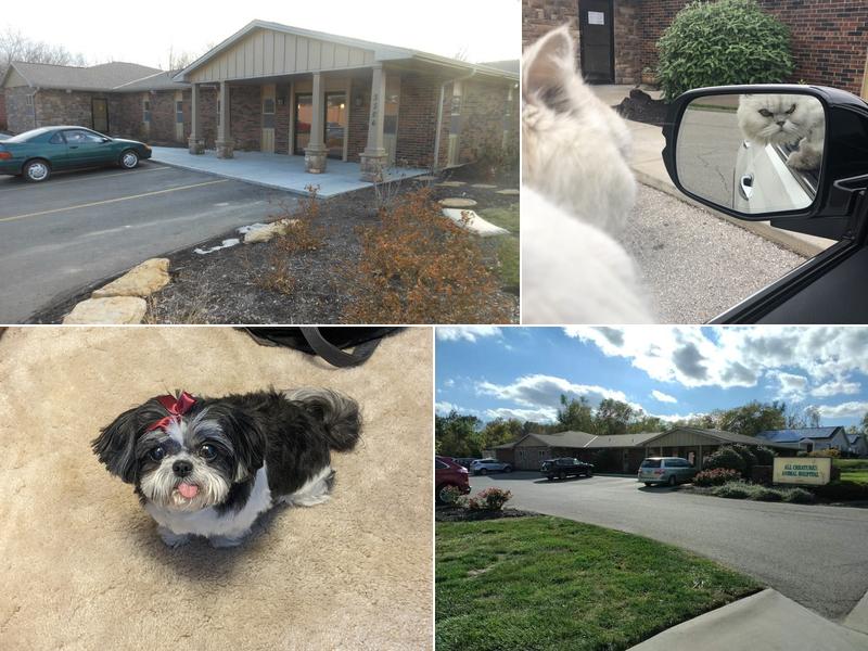 All Creatures Animal Hospital