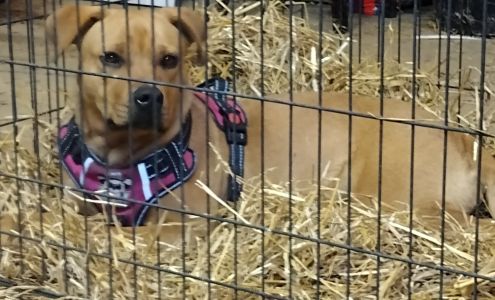 Bluegrass Veterinary Services, PLLC 602 S Main St, Beaver Dam Kentucky 42320