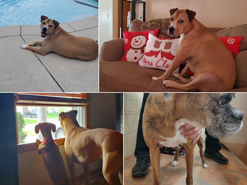 West Clay Animal Hospital: J. T. Saranita DVM