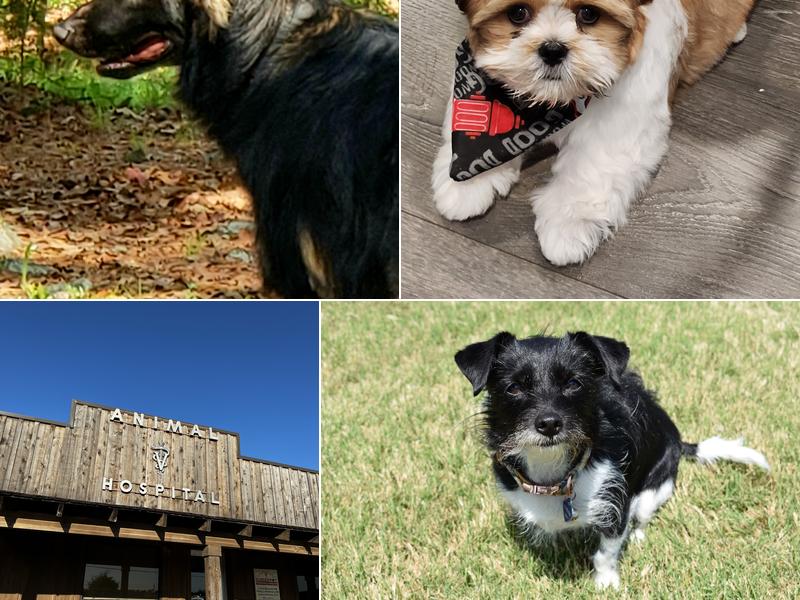 Ponder Veterinary Hospital