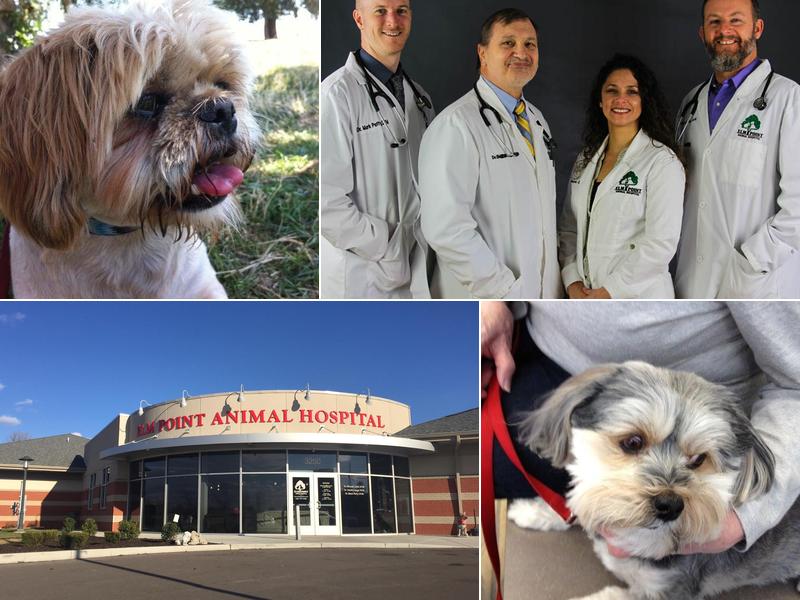 Elm Point Animal Hospital