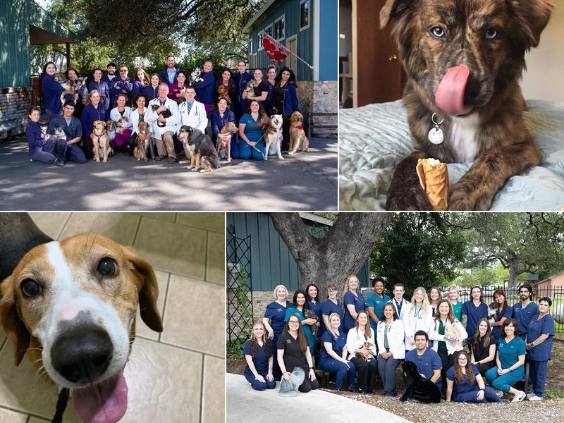 Manchaca Village Veterinary Care
