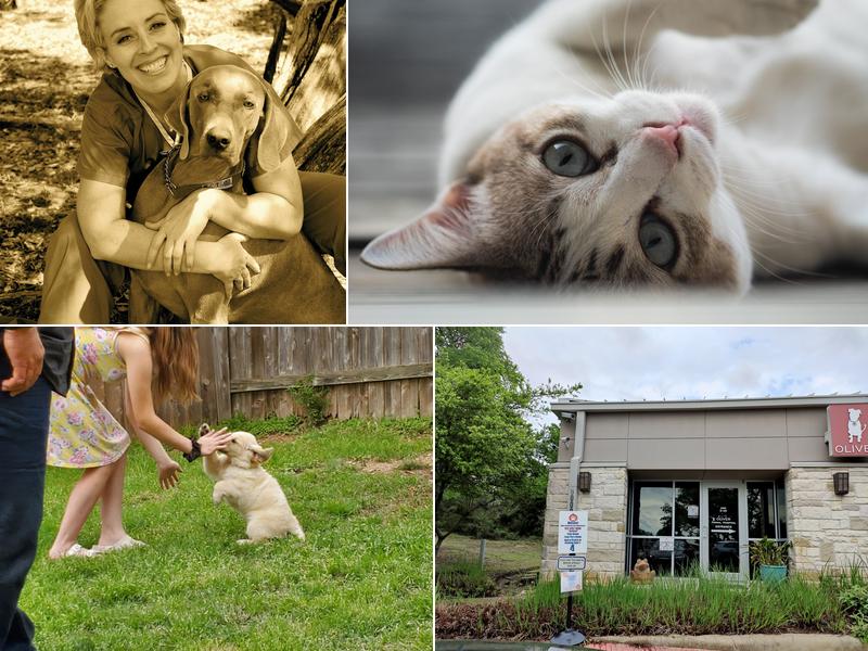 Oliver Animal Hospital