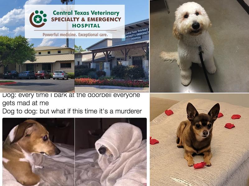 Central Texas Veterinary Specialty & Emergency Hospital