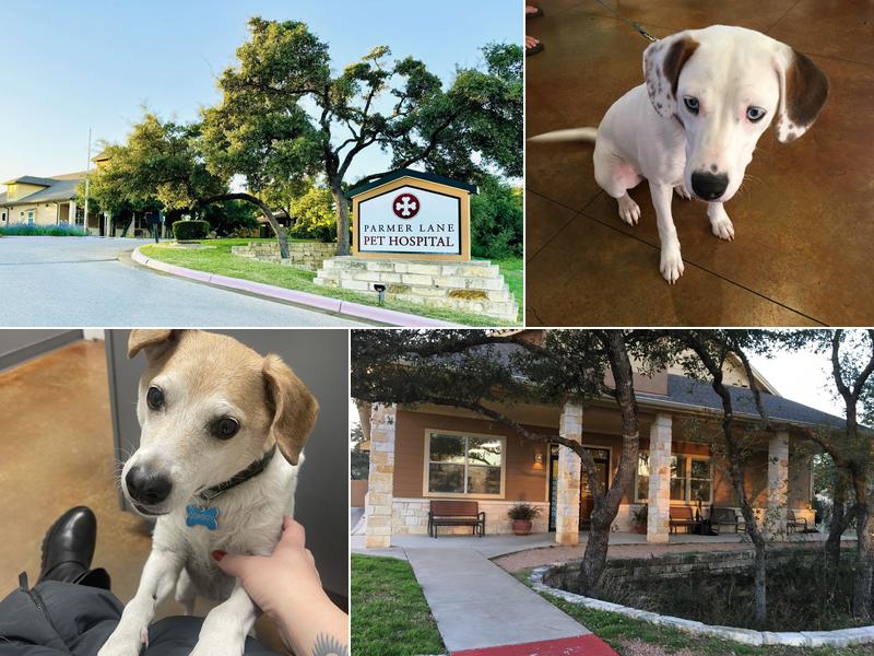 Parmer Lane Pet Hospital