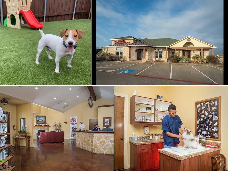 Windmill Veterinary Center