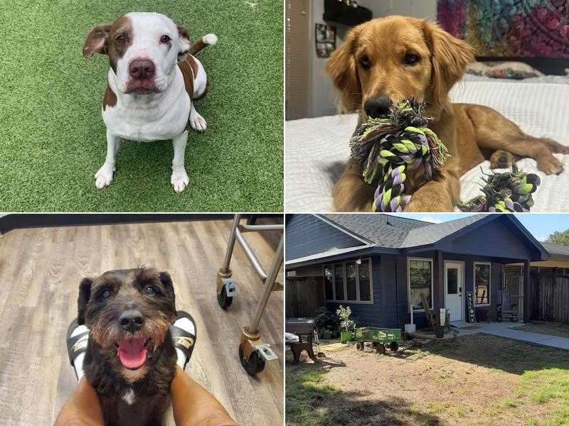 Guardian Pet Hospital and Lodge