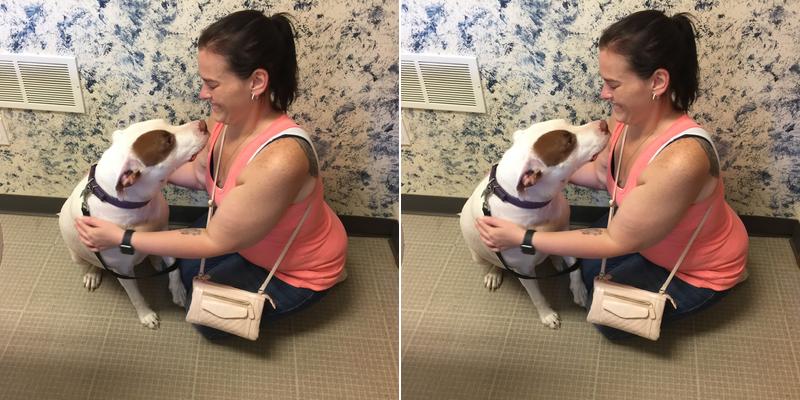 Summit Veterinary Services: Cook Rachel DVM