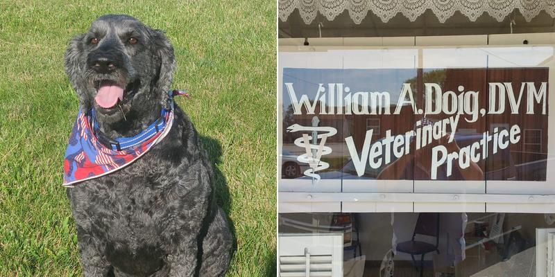 William A Doig Veterinary Clinic