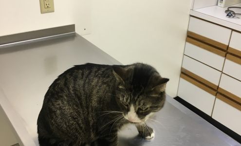 Broadway Robbinsdale Animal Hospital LTD