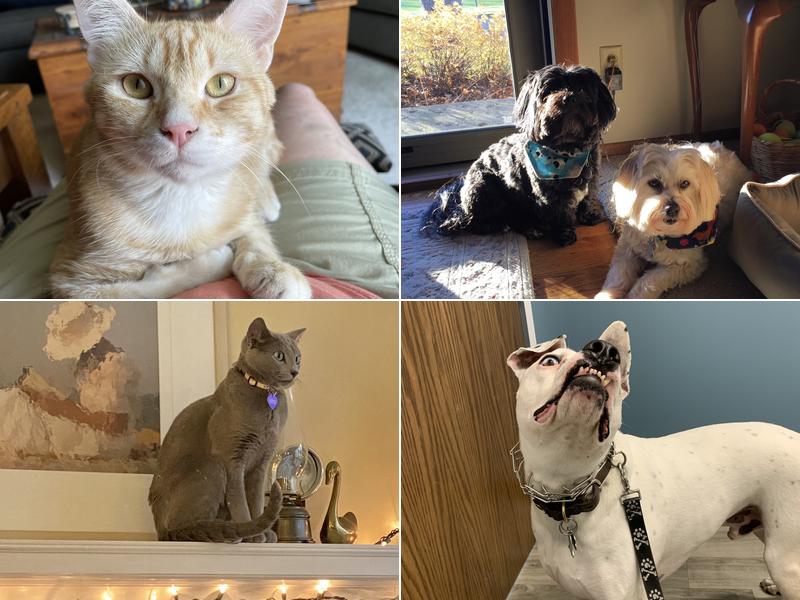 Woodlake Veterinary Hospital