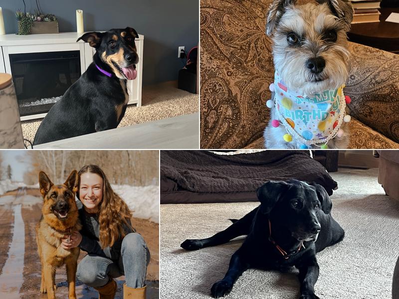 TLC Veterinary Hospital