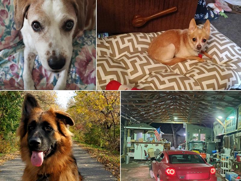 Predmore Veterinary Clinic