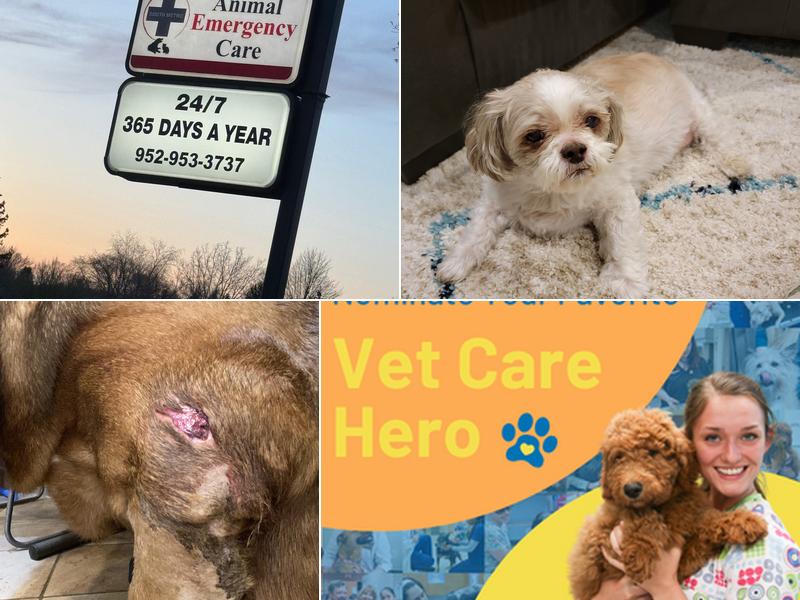 South Metro Animal Emergency Care