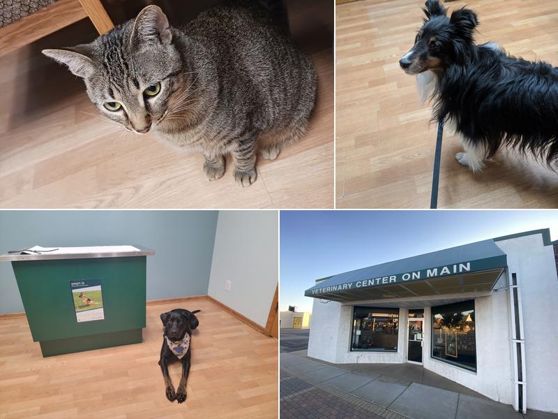 Vet Partners on Main