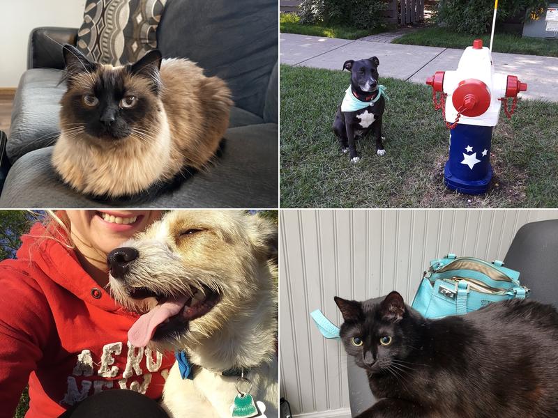 Rum River Veterinary Clinic