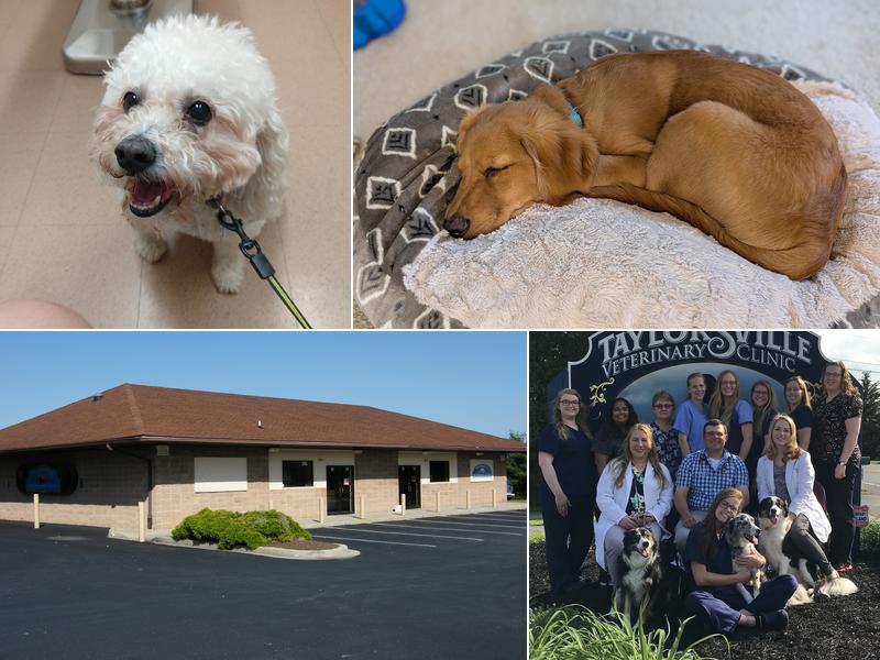 Taylorsville Veterinary Clinic