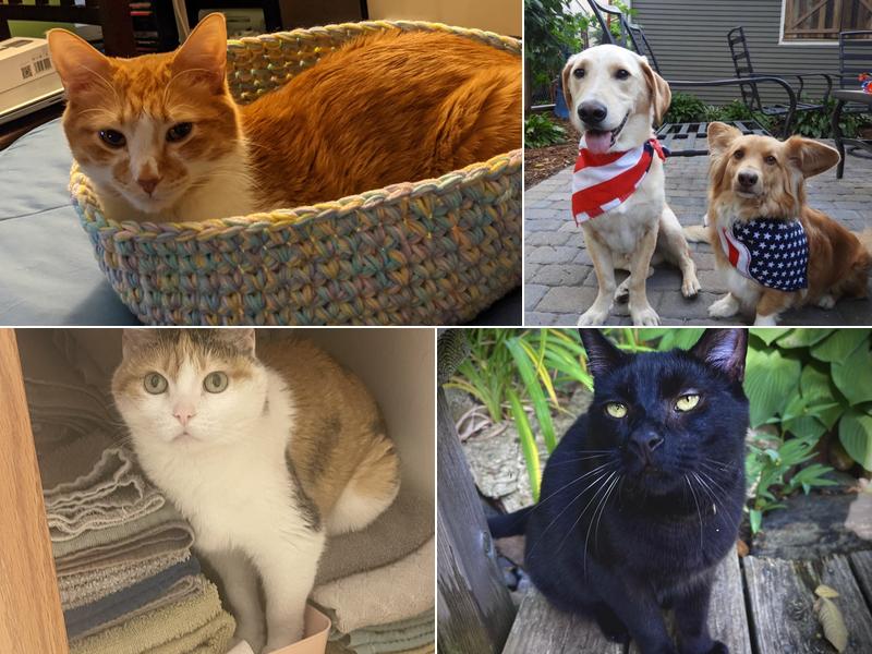 Marschall Road Animal Hospital